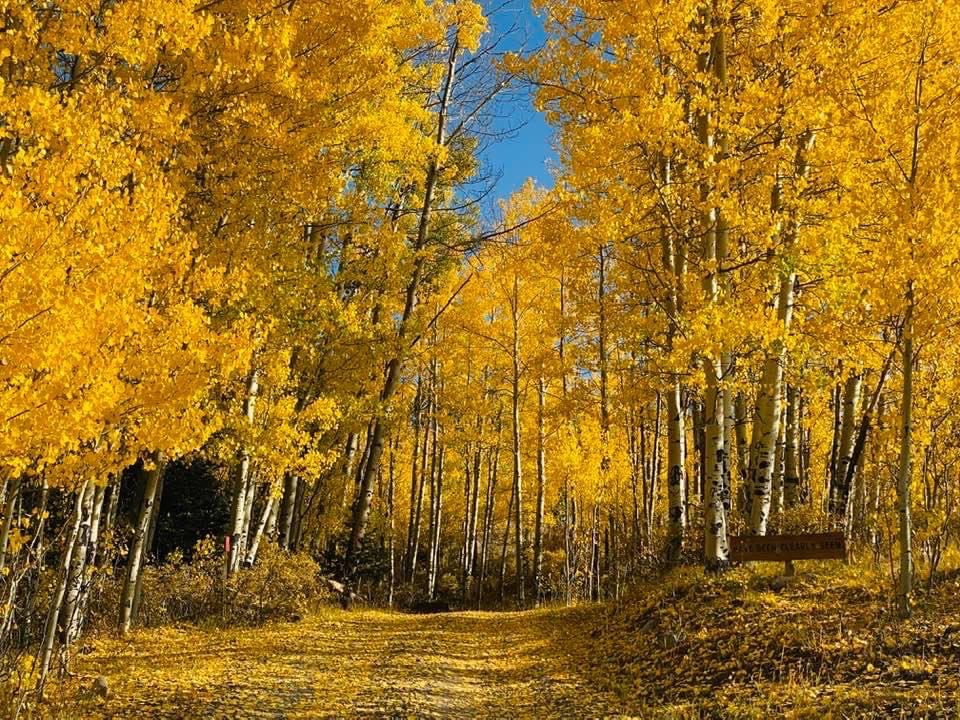VOWilderness's tweet photo. A Season for Everything
https://t.co/Pslr3mmol4 https://t.co/qqdOsc0Zxi