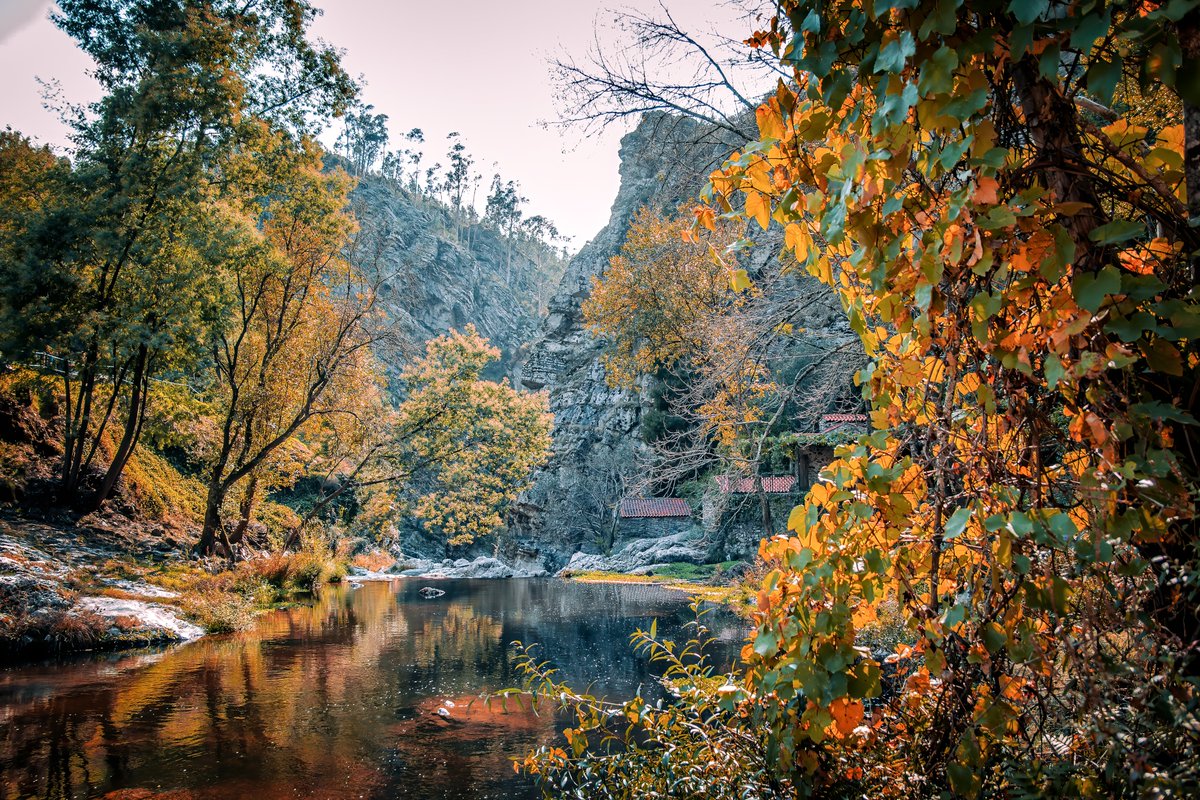 Senhora do Salto
#picoftheday #tbt #bestoftheday  #pic  #my #myphoto #mypic #bhfyp #photografylovers #photografylover #photo #photography #foto #fotografia #Photographers  #autumn #fall #portugal #senhoradosalto #paredes #travel #travelers #travelphotography #visit #visitportugal