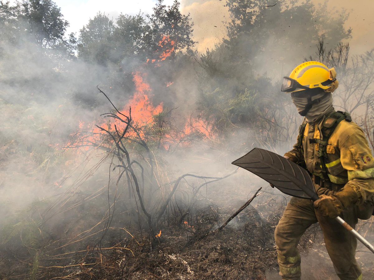 AT_Brif's tweet photo. 📃Campaña extinción Incendios forestales 2020 #BRIF
01/06-15/10 hoy finaliza:
👨🚒@BrifDaroca #Zaragoza
🔥11 Intervenciones en #IIFF entre las más destacadas:
#IFParadelaManzaneda
#IFACadavosMezquita
#IFMula
#IFVilardecervosVilardevós
#IFSabuguidoVilariño
🚁🚁104 horas de vuelo https://t.co/ZXAj0LCFyF