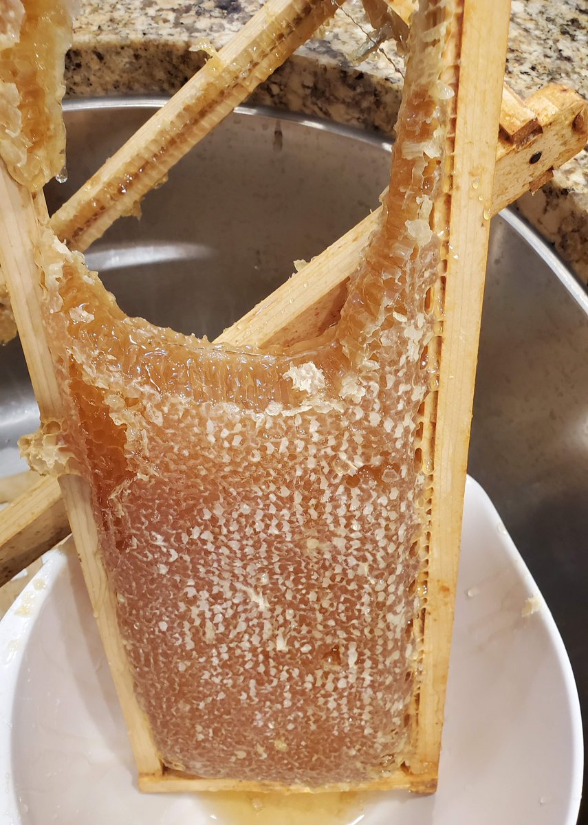 alexzogh's tweet photo. Our Lake Forest Bee's in our backyard provided a bumper harvest this year. https://t.co/UhrXMPpAWP