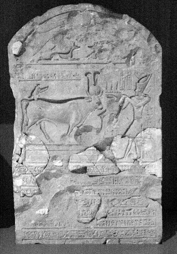 trumerz's tweet photo. Dad sent me this text after @EgyptMcr’s @TheEES #EES50Objects lecture yesterday which featured a stela with a Buchis Bull (possibly not this one)
He is funny 😂😂
#BuchisCat #BudgieHorus https://t.co/IlpuYNnsf9