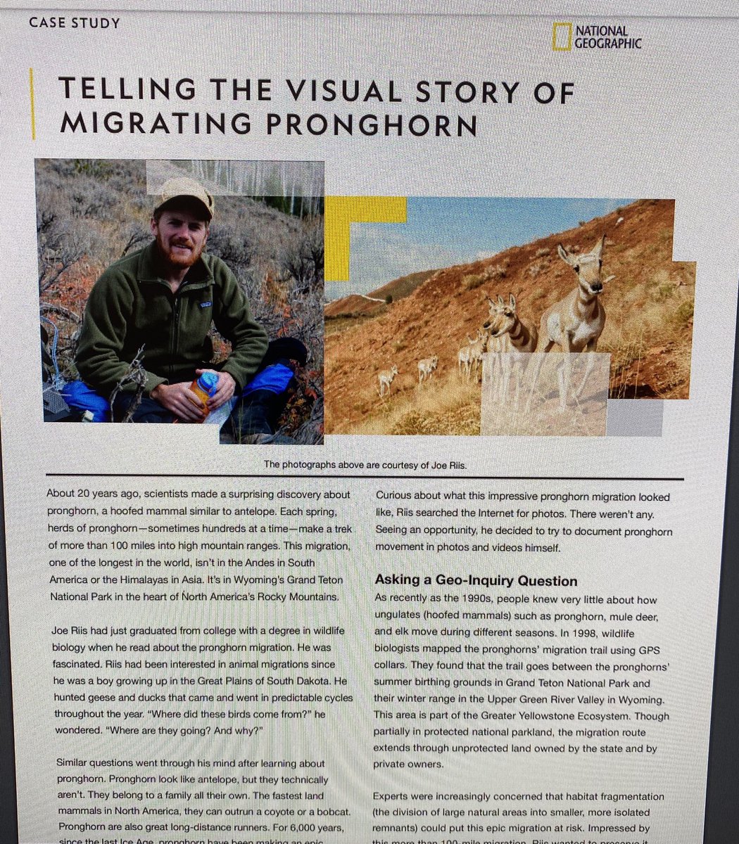 WolfeWanders's tweet image. How do you begin the Geo-Inquiry process with Ss? We used National Geographic Explorer Case Studies to identify Geo-Inquiry steps  and analyze maps in @joeriis 2 year journey studying pronghorn migration patterns. #natgeoeducation #NatGeoCertified #bsdpride #educatorexplorer
