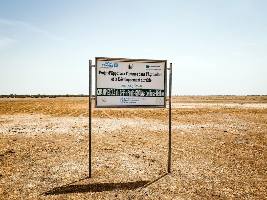 antoinesire tweet media