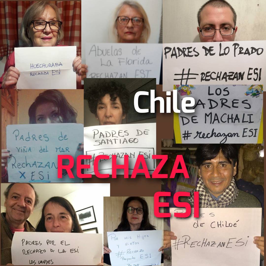 Patriota001976's tweet photo. Porque quiero un país libre donde podamos decidir nosotros cuál es el mejor momento para explicarles temas de sexualidad a los menores de 5 años #YoRechazoESI #PorChileYoRechazo #RechazoPorAmorAChile https://t.co/kpAexyJAXR