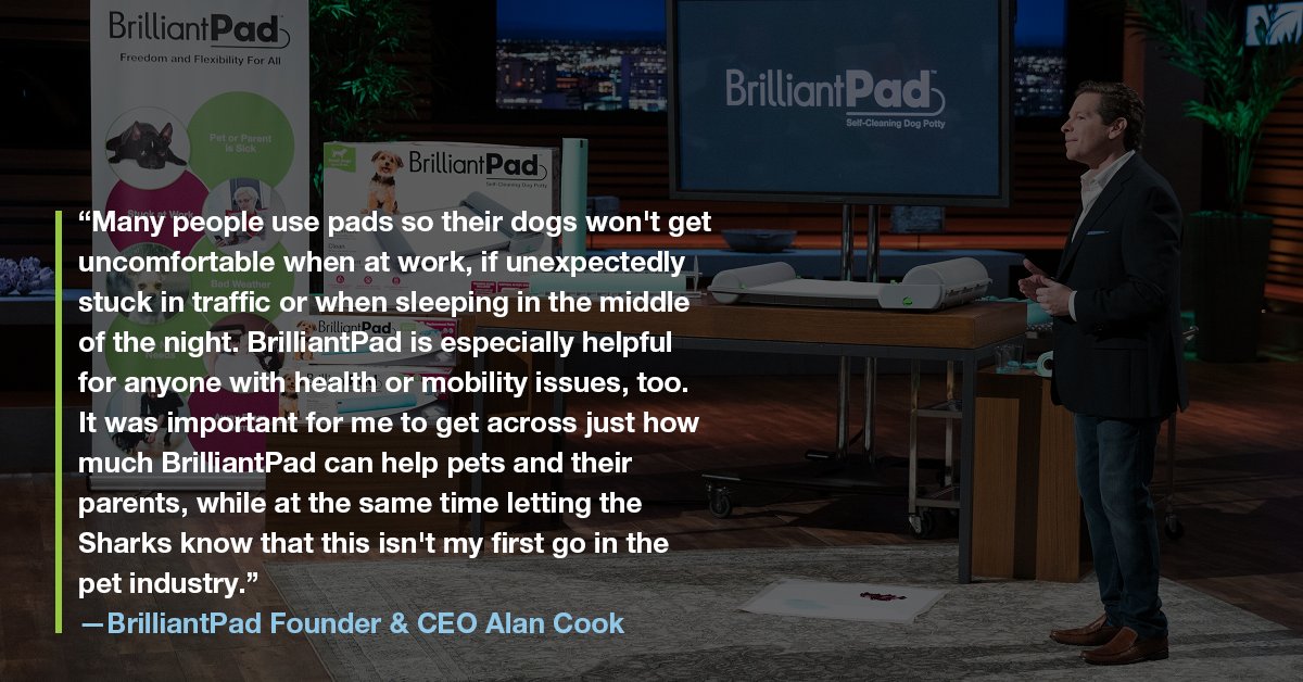 brilliant pad dog potty