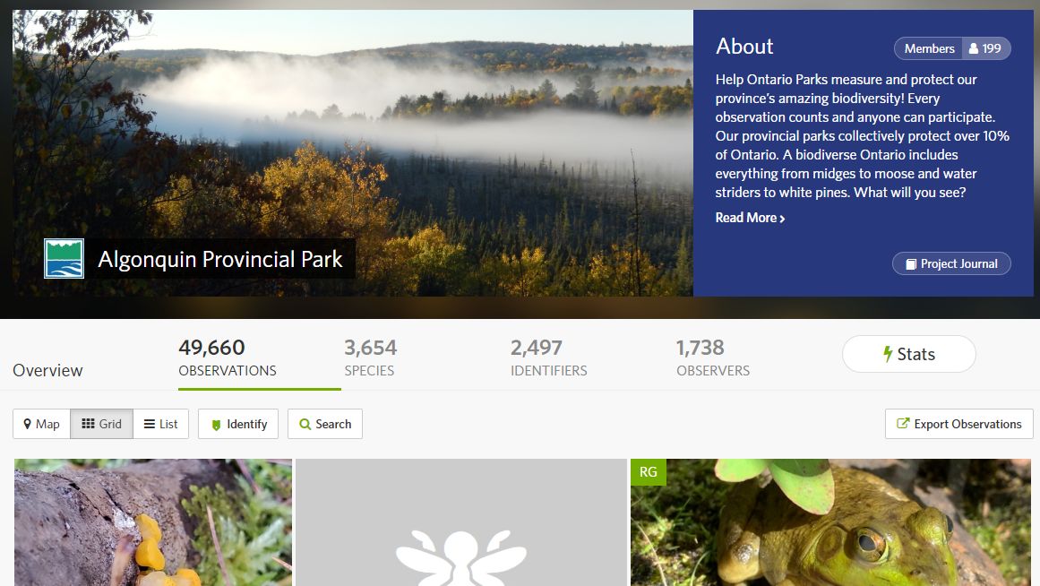 Hello Naturalists!
The Algonquin Provincial Park iNaturalist project is nearing an impressive milestone:
50,000 observations!
Just a few hundred more to go...!
Every observation is important!
For more information visit https://t.co/3poT3tIz7k or https://t.co/LXuC7dR4xO https://t.co/JccZOpXsSi