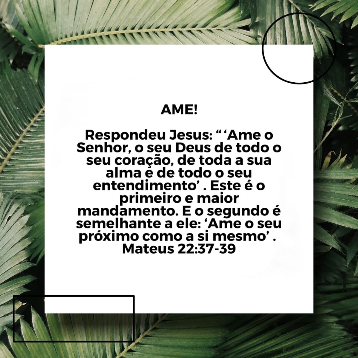 legacyteenl's tweet photo. Devocional do dia
por: @gabssonss
#legacyteen #lagoinha #devocial #teen #church #igreja https://t.co/wJKVlbgEXZ