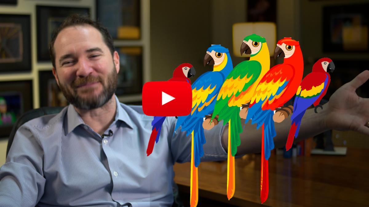 debbymidtown's tweet photo. What do parrots and jazz have in common? watch the video https://t.co/2RPWhAdhiR https://t.co/nO9xkPA3Ys