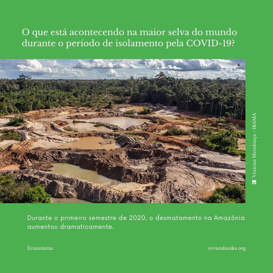 revistabioikapt's tweet photo. Amazônia é uma das regiões mais importantes do mundo em termos ambientais. Ainda assim, hoje parece ser mais valorizada como recurso econômico através da exploração do que para conservação. https://t.co/W33AlJzTFl
#VoltarALer #QuintaEdicao #ASextaEstaChegando #RevistaBioika https://t.co/qHGExK1k2B