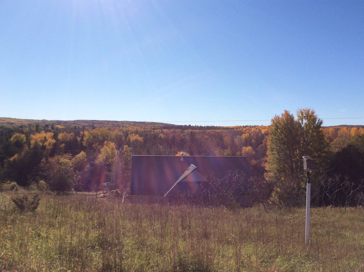 LoomisCentre's tweet photo. Such a beautiful time of year! #somanycolours https://t.co/PaJiCQC1fQ