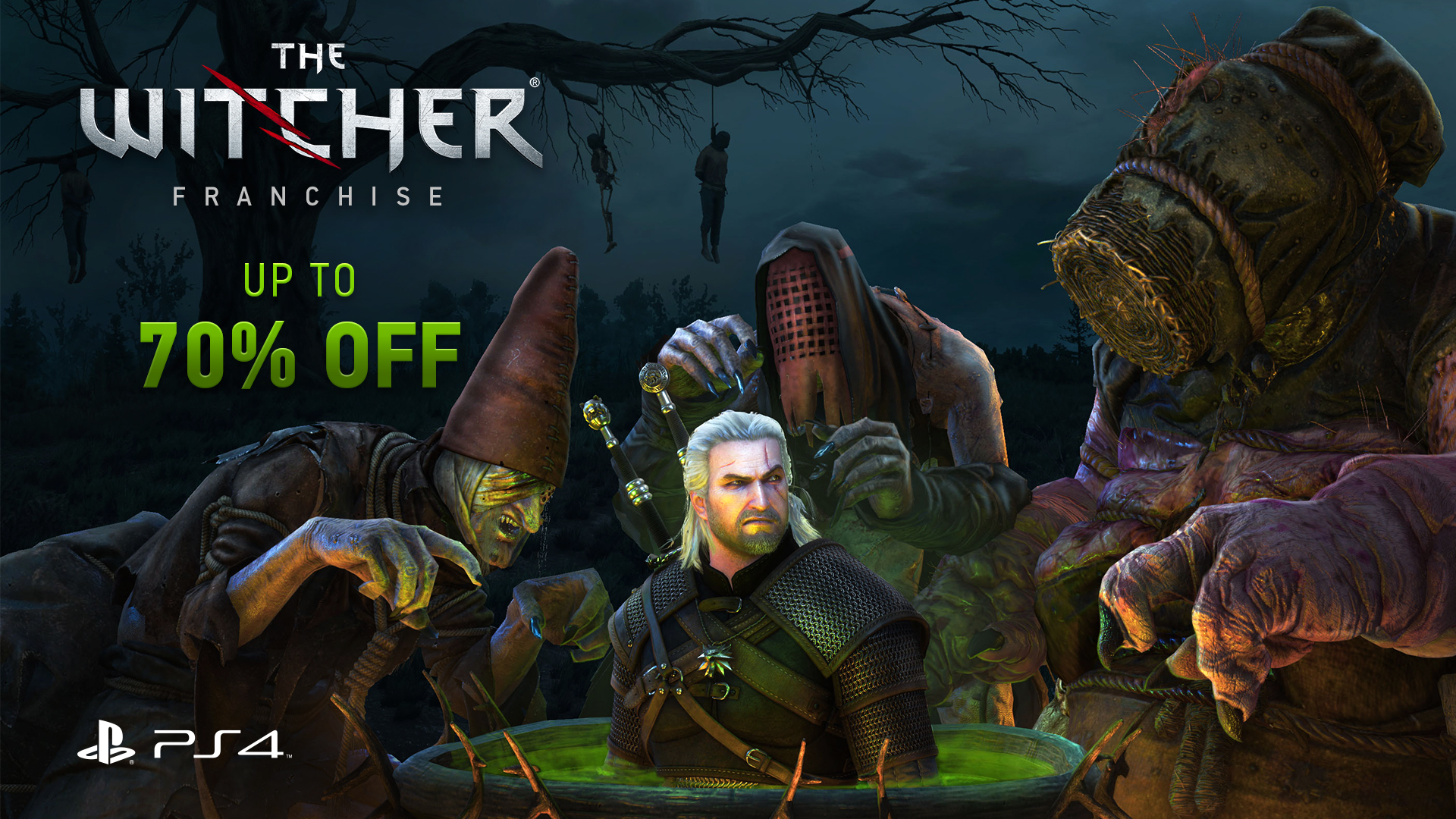 The Witcher Wild Hunt Video Game Sony PS4