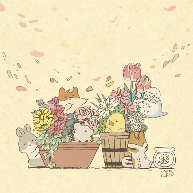 「植木鉢 花瓶」のTwitter画像/イラスト(人気順)