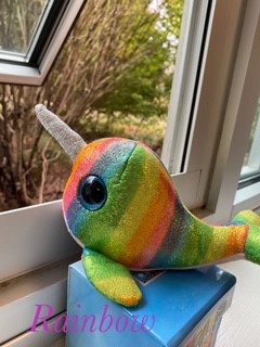 cub_hses's tweet photo. #NewClassPet #CanWeHaveOutsideRecessToday
Meet Rainbow... our new class pet. Official name is Rainbow Rosie Splashy Narwhala πππ
@HembreeSprings https://t.co/SMeajElQGo