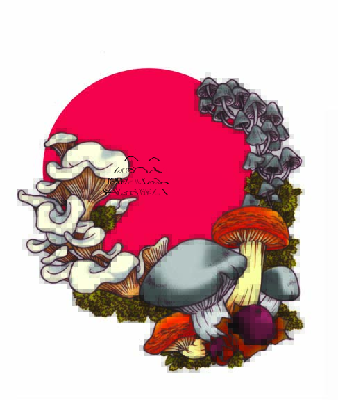 高橋葉介のtwitterイラスト検索結果 高橋葉介のtwitterイラスト検索結果