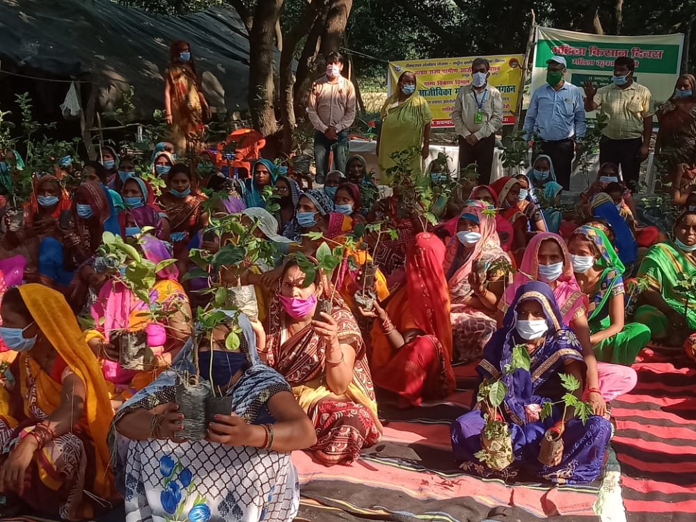 BmmuMall's tweet photo. आज अमलौली में IISRलखनऊ के KVK से आये हुए वैज्ञानिकों द्वारा महिला किसान दिवस पर महिला किसान गोष्ठी का आयोजन किया गया,महिला किसानों को प्रशिक्षित किया गया,पपीते और नींबू पौधों का वितरण किया गया।UPSRLM के अंतर्गत एकता VO की समस्त महिला किसानों द्वारा प्रतिभाग किया गया@Prerna_UPSRLM https://t.co/mLqRlJlxSx