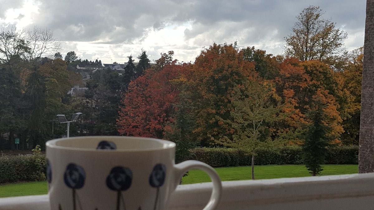 Enjoying some self #compassion as I take 5 mins to enjoy a cuppa and the beautiful autumnal views outside my office window #hscvalues #hscvaluesforall #CollectiveLeadership #WorldValuesDay #GratefulHeart
