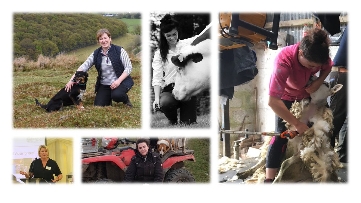 More women than ever study Agriculture at <a href="/AberUni/">Aberystwyth University</a> as we celebrate the role of #women within #Agriculture on <a href="/UN/">United Nations</a> #RuralWomenDay. #RuralWomen

Read the full story here: sway.office.com/UVXvvetLlkEMBM…