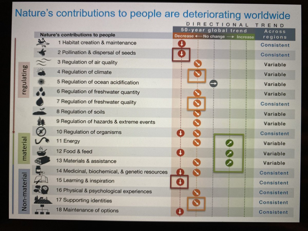 DoctorZedd's tweet image. Hernández shows the worrying trends of nature’s contributions to human lives. #SOTWPF