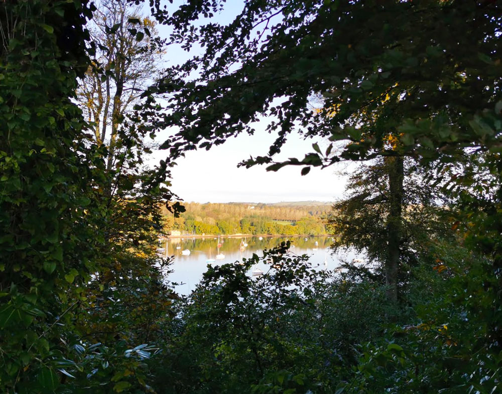 teigntrees's tweet photo. Tristan was back at @nationaltrust's #GreenwayHouse nr #Kingswear on Friday, quoting this time &amp; he couldn't resist taking these glorious shots of the views. It really is a beautiful location &amp; fantastic time of year to visit. #teigntrees #arborist #treeworkthursday https://t.co/TFS59rhTHw