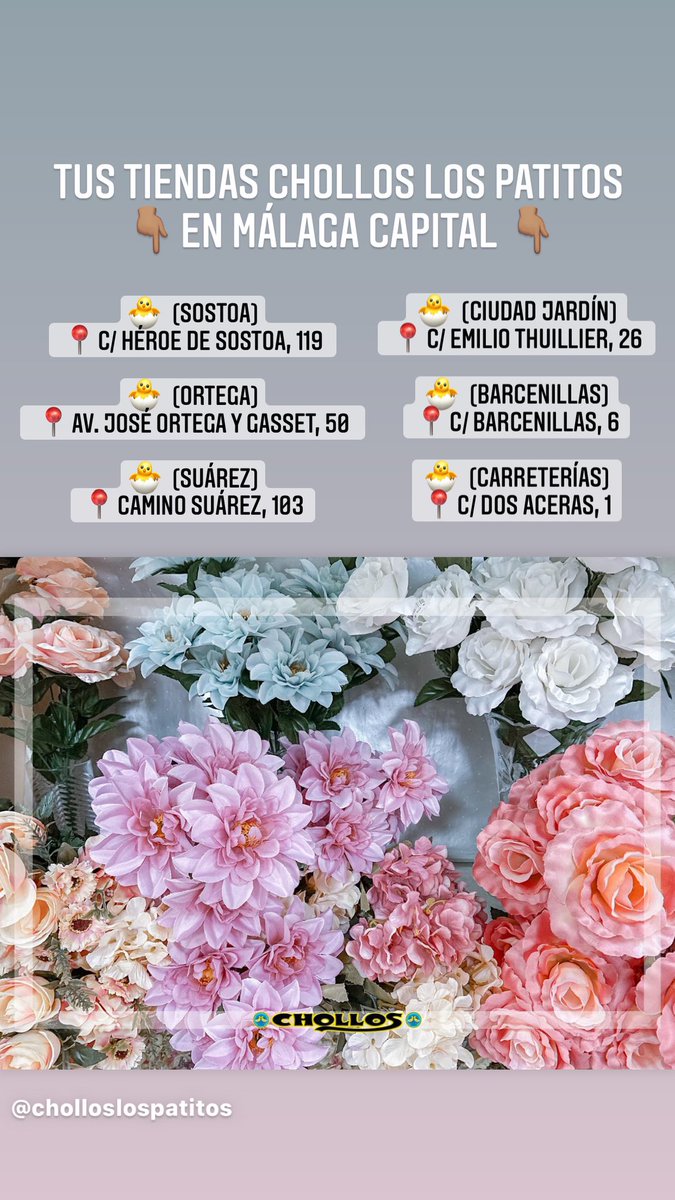 CHOLLOSLosPatit's tweet photo. Sección de Flores para el Día de Los Santos con gran surtido de modelos y precios.

Margaritas, rosas, claveles, hojas verdes, rellenos...

Y todos los complementos que necesitas: 
corcho, velones, cubremacetas, velas con pilas.

#ChollosLosPatitos siempre muy cerca de ti! https://t.co/L9dDvOBRF2
