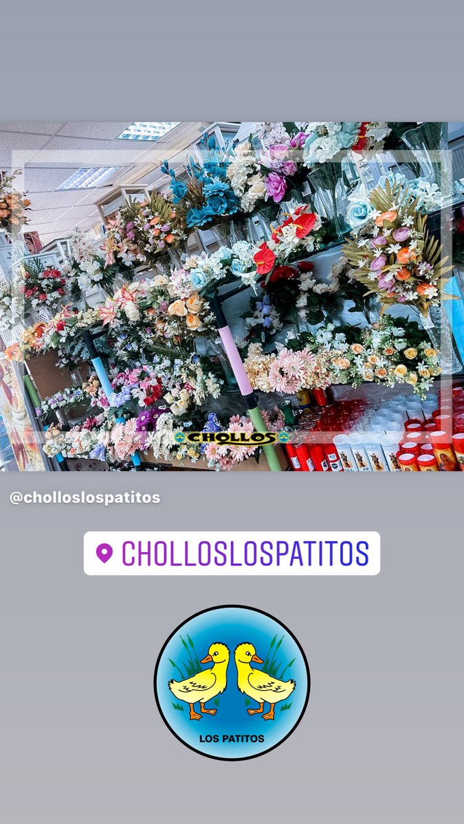 CHOLLOSLosPatit's tweet photo. Sección de Flores para el Día de Los Santos con gran surtido de modelos y precios.

Margaritas, rosas, claveles, hojas verdes, rellenos...

Y todos los complementos que necesitas: 
corcho, velones, cubremacetas, velas con pilas.

#ChollosLosPatitos siempre muy cerca de ti! https://t.co/L9dDvOBRF2