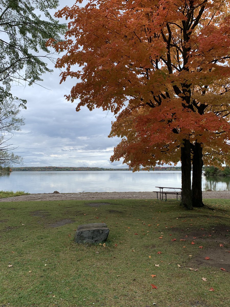 RideauAcresCamp's tweet photo. Another camping season winding down. Still open for fall camping! @CampInOntario #campinglife #autumn https://t.co/eYhIQwT8Pw