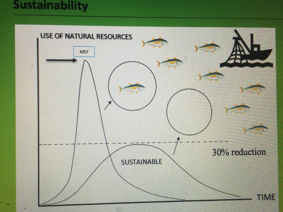 UmairUshahid's tweet photo. Here we go, not only #time but markets are squeezing too #Yellowfin #IOTC #Nolimitsnofuture @wwf_uk @OceanWitnessOrg @make_ocean @glenfholmes see image how it bends the curve  https://t.co/J8Qa0nV2X4 https://t.co/kthBrKhDaW