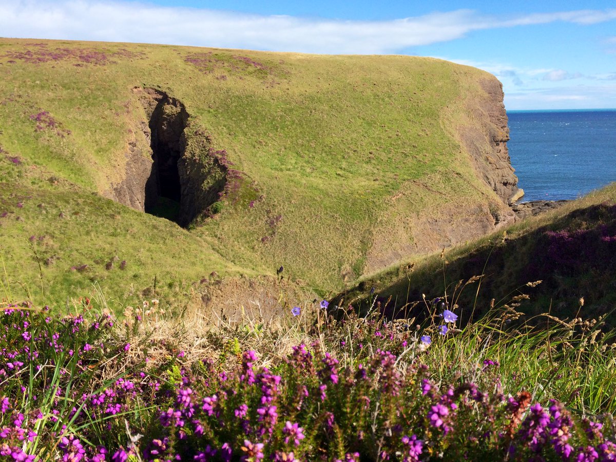 Ailish Sinclair tweet media