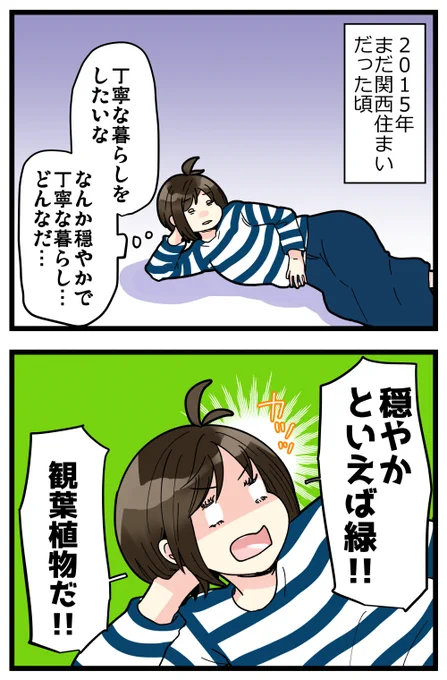 5年前から世話を始めたモンステラが暴れ馬になりました。
放任主義すぎたかな…!?
もう少し落ち着いた子にしたい…?? 