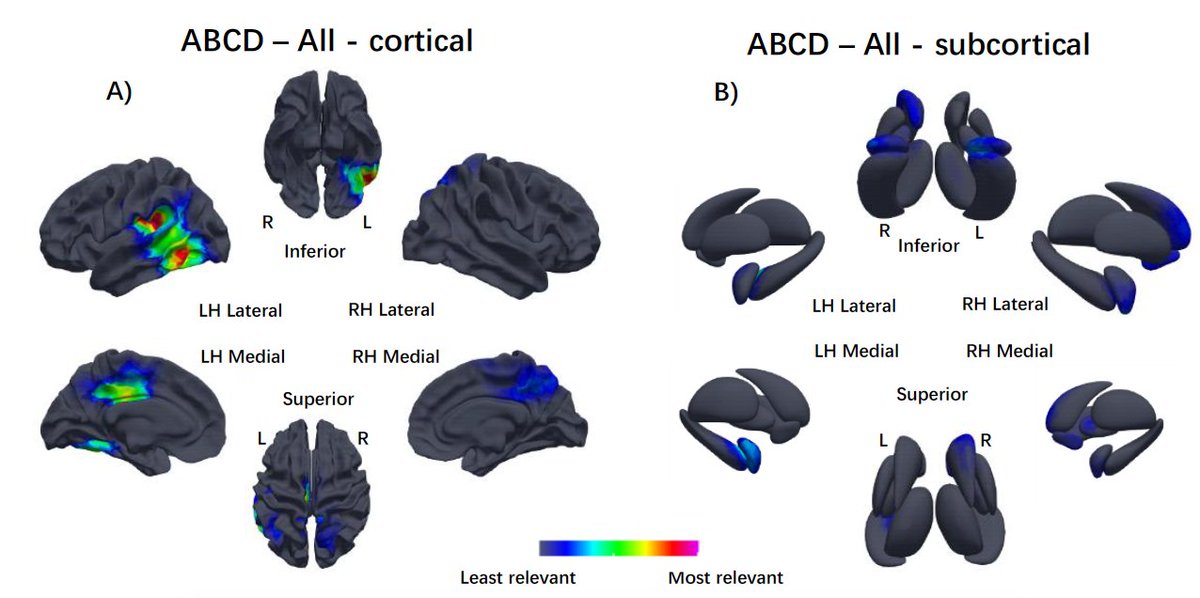 Our new preprint is out: Fluid Intelligence can be predicted from cortical and subcortical shapes using geometric deep learning
x.com/biorxiv_neursc…