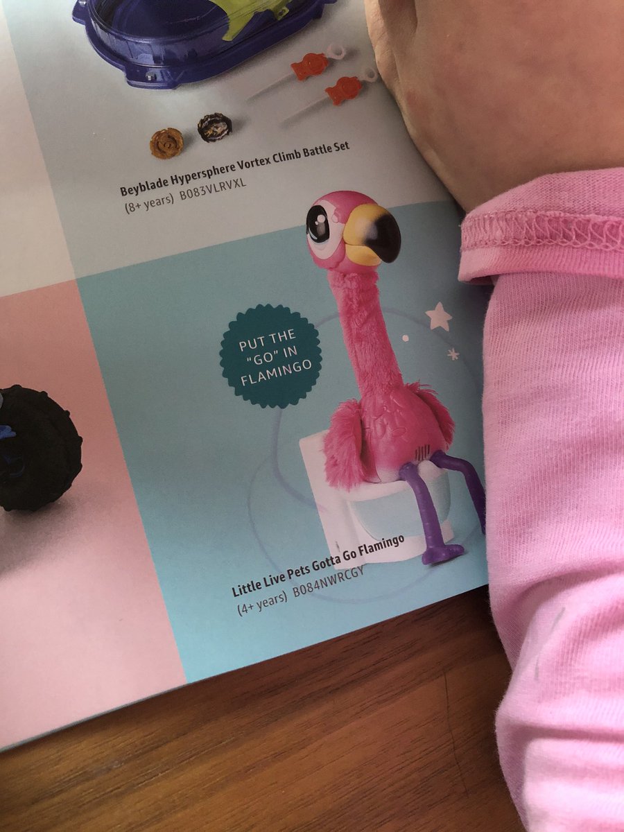 Thanks to Amazon’s holiday wish list book, my 4-year-old now wants a pooping flamingo...and everything else in the book 🤦🏼‍♀️