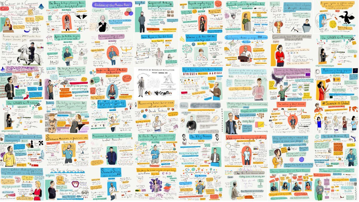 ATJCagan's tweet photo. If you're organising a virtual meeting and think it could benefit from being live-illustrated get in touch https://t.co/p0TOmmmmXe #scicomm #sciart https://t.co/EnqseEdNOk