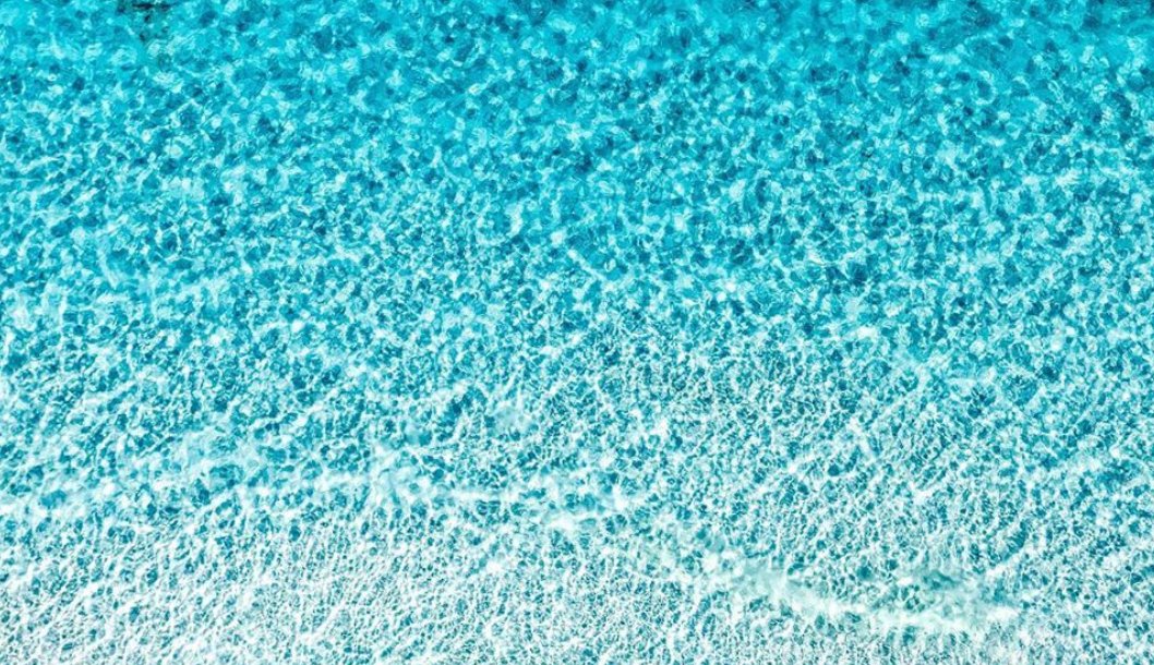 TheExtraCatch's tweet photo. Why do you love the ocean?
π· @chaddybags
#theextracatch #plasticpollution #oceans #beachcleanup #freediving #skipthestraw #refusesingleuse #diving #boating #fishing #saltlife #marinedebris #marinelife #saveourseas https://t.co/6LQpypwZXZ