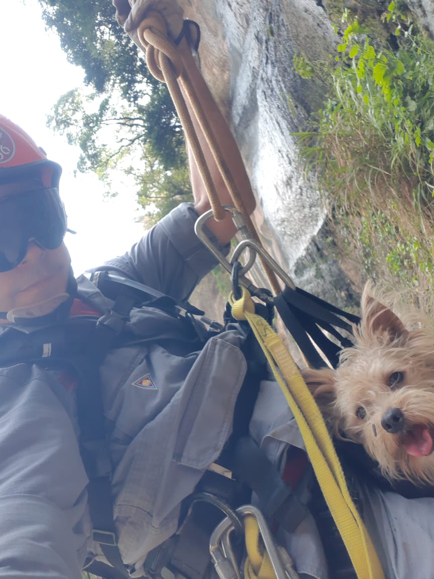 BGinterior's tweet photo. O Corpo de Bombeiros resgatou na manhã desta quarta-feira (14) um cachorro que tinha caído no Vale Itambé, Zona Oeste de #Marília. O cão tem o nome de Theo e sofreu uma queda de aproximadamente 50 metros. Confira a reportagem às 11h51, no #BGinterior https://t.co/Nr9c5v3rPC