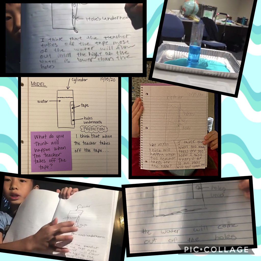 Caitlin Bringardner tweet media