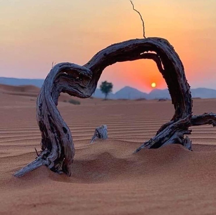 tripsofmorocco2's tweet photo. Morocco is a country with a millennial history, heir to centuries of tradition.❤️🇲🇦
#trips #desert #sahara #moroccotravel #travel #tours #desert #photography #enjoylife #holidays #sahara #morocco #marrakech

https://t.co/v1Y5PGtXEQ https://t.co/zlT9H6GoPS