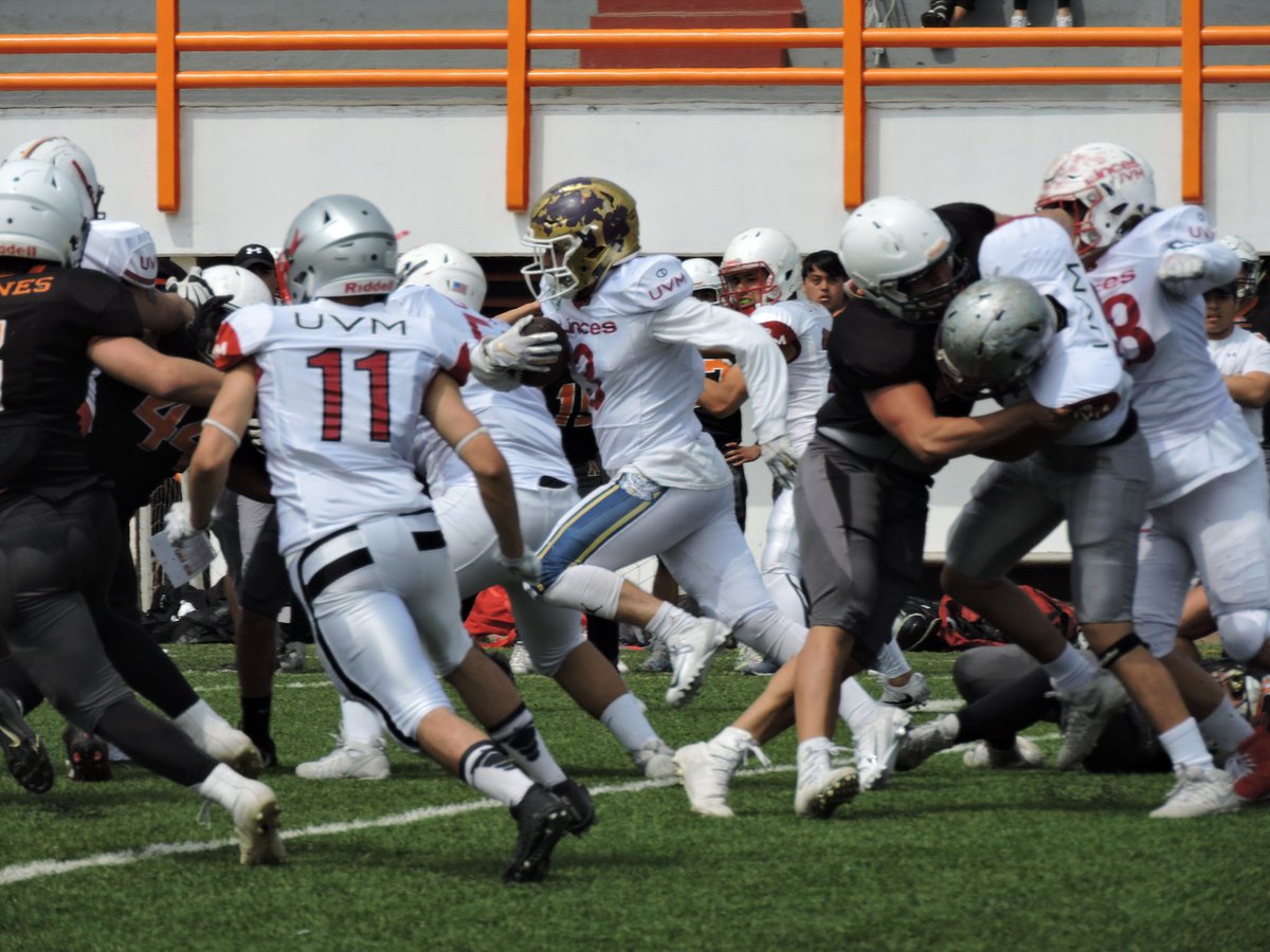 OnefaOficial's tweet photo. @LincesMex vs @LeonesAnahuacMx
#IntermediaOnefa #delArchivo
π¦π¦π¦ππππππ https://t.co/UzDXfejjW9