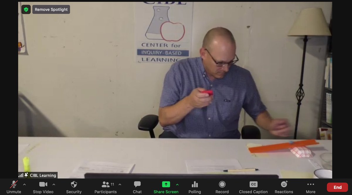 Willow Alston-Socha tweet media