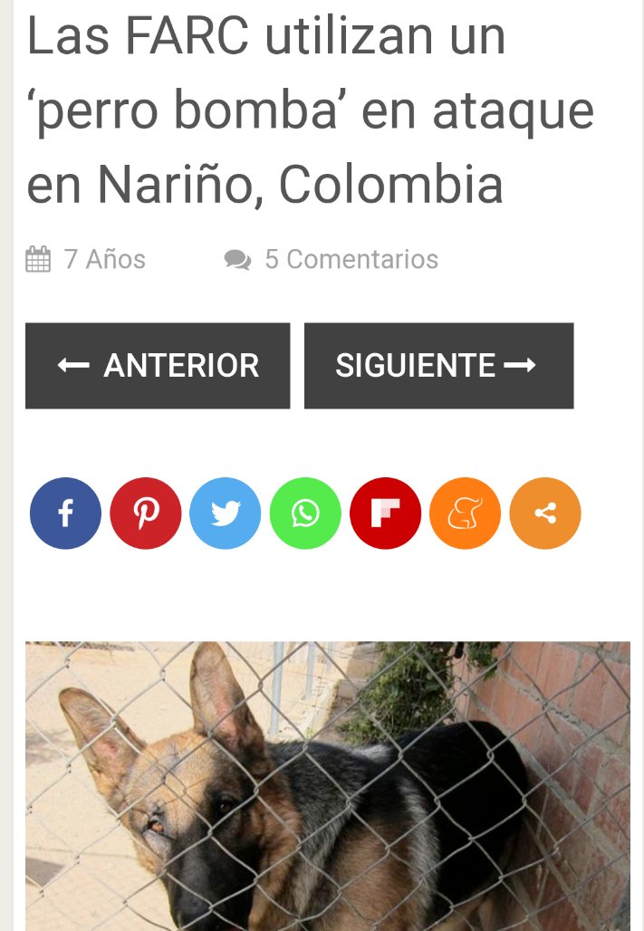 lacoutu's tweet photo. @PartidoFARC Este twit no se si es Irónico o es que nos creen desmemoriados. #BurroBomba #PerroBomba #CadaverBomba que utilizaron las .@PartidoFARC y hoy lo que ellos llaman sus disidencias. https://t.co/UQ5ip3IL3B