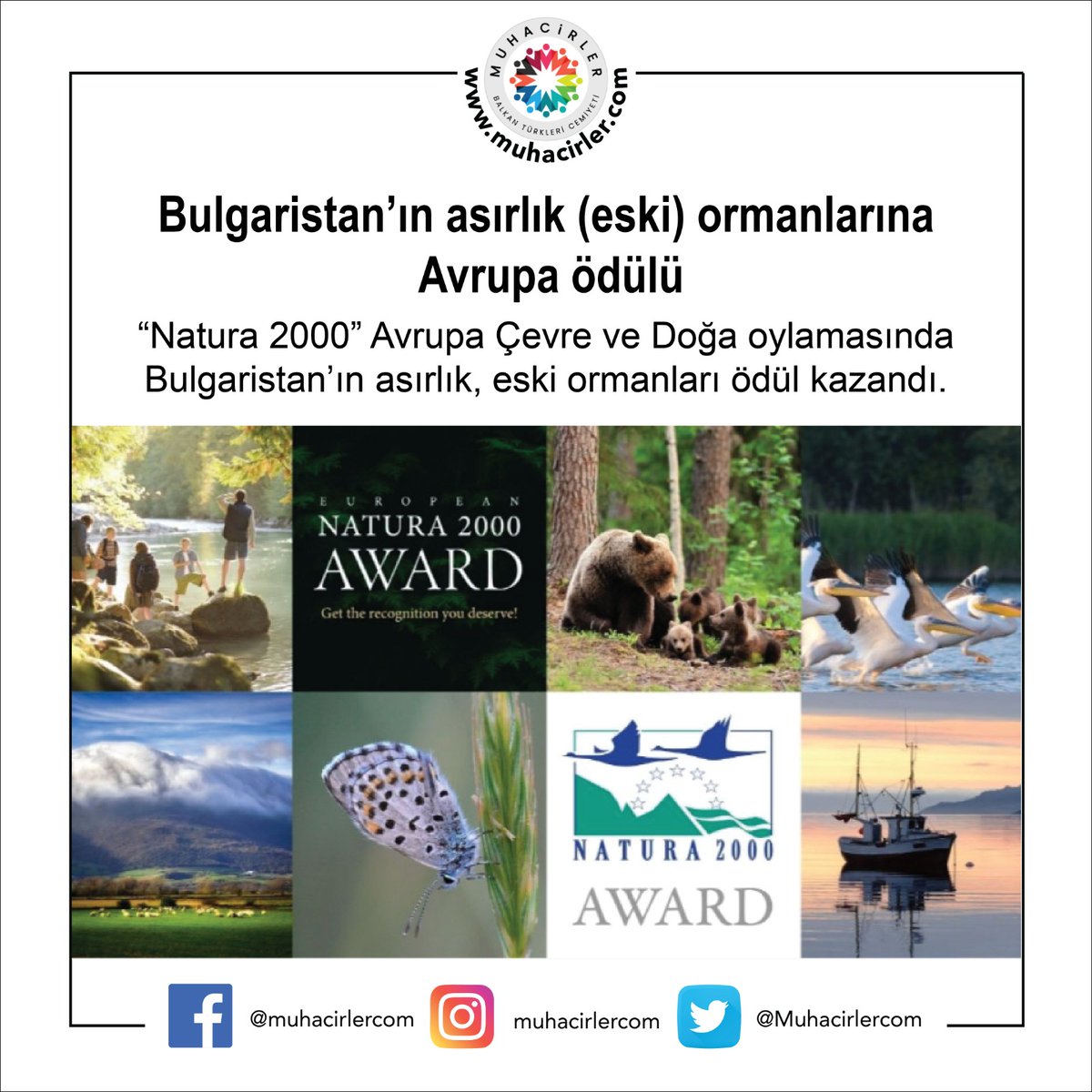 Bulgaristan Asırlık Ormanları AB ve İngiltere’den finale ulaşan 27 başka proje ile boy ölçtü ve en çok onay oyunu almayı başardı. 
#muhacirler #bulgaristan #balkangöçmenleri #Natura2000Awards #Natura2000
