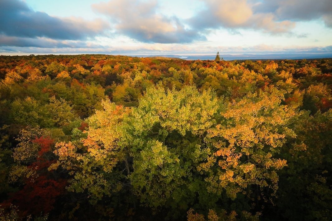 GO Laurel Highlands tweet media