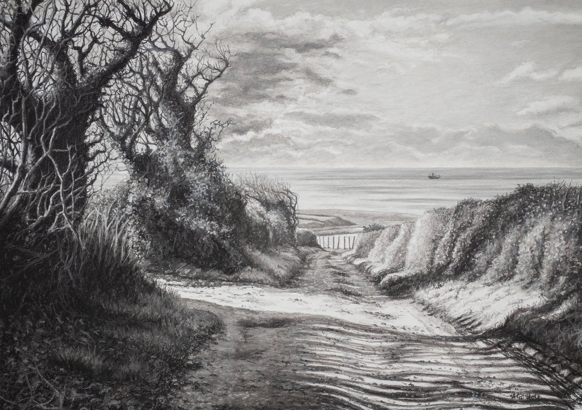 ‘The long Shadows of Autumn; Towards Loe Bar’  
Large charcoal & pastel drawing on paper 70x50cm 
#charcoalandpastel #drawing #landscapedrawing #loebar #loepool #penroseestate #helston #cornwall #alicehole #aliceholeartist #cornishart