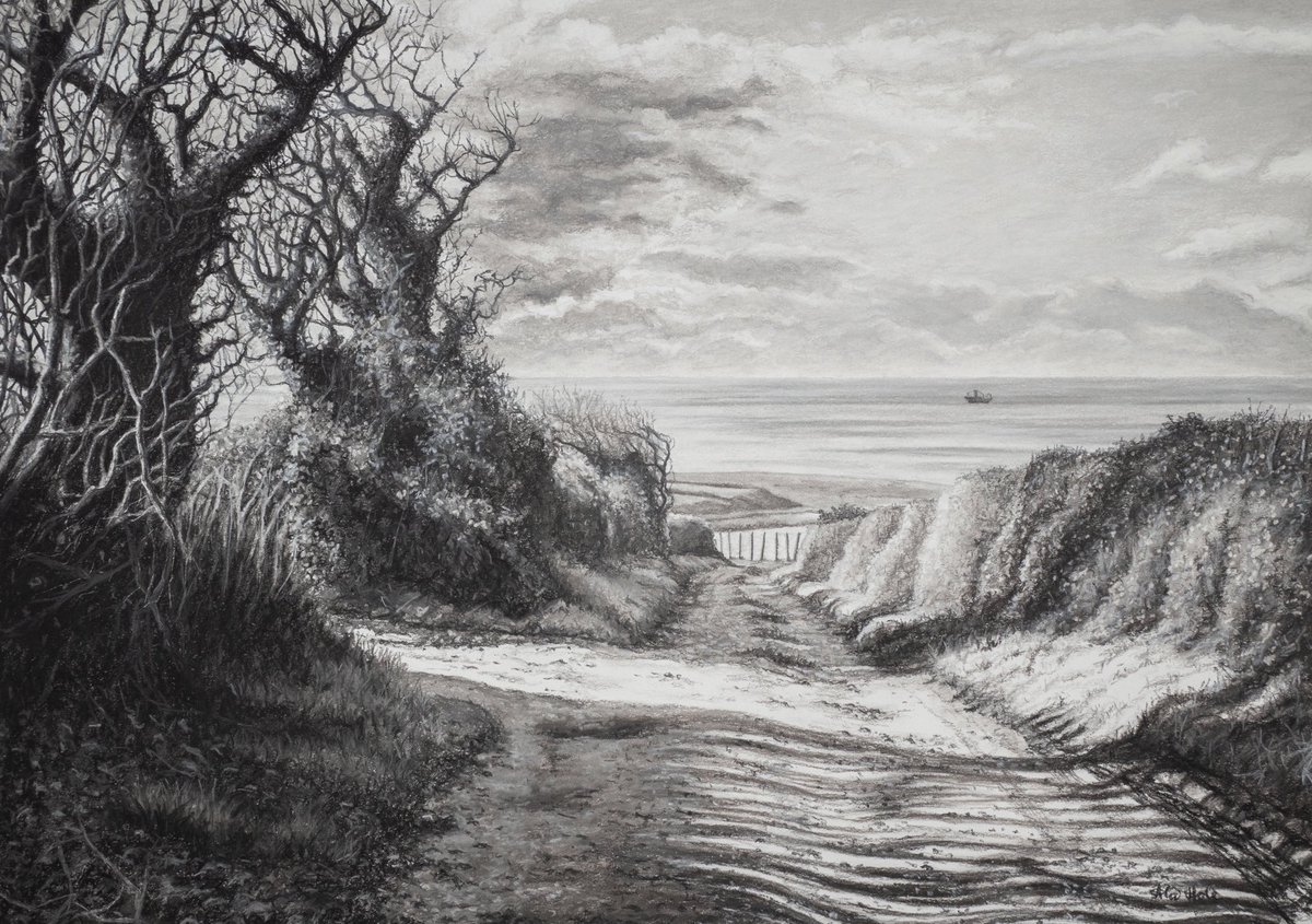 ‘The long Shadows of Autumn; Towards Loe Bar’  
Large charcoal &amp; pastel drawing on paper 70x50cm 
#charcoalandpastel #drawing #landscapedrawing #loebar #loepool #penroseestate #helston #cornwall #alicehole #aliceholeartist #cornishart