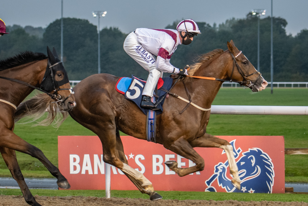 allanbloodlines's tweet photo. Portrait and replay of #HintleshamRacingUK latest winner 13.10.20 #FlyingStandard https://t.co/eCkGy1UzPU - brand new yearling colt to be syndicated soon https://t.co/0mDPQAfcfR