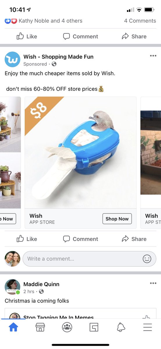 HannahKasler's tweet photo. Anyone else look at the things wish suggests you to buy just for a laugh?? Like a whole house??  A BABY!? Like who is trying to trap a BIRD! https://t.co/Sxhog2fdtb