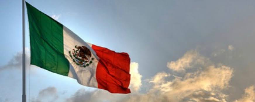 macjluf's tweet image. 