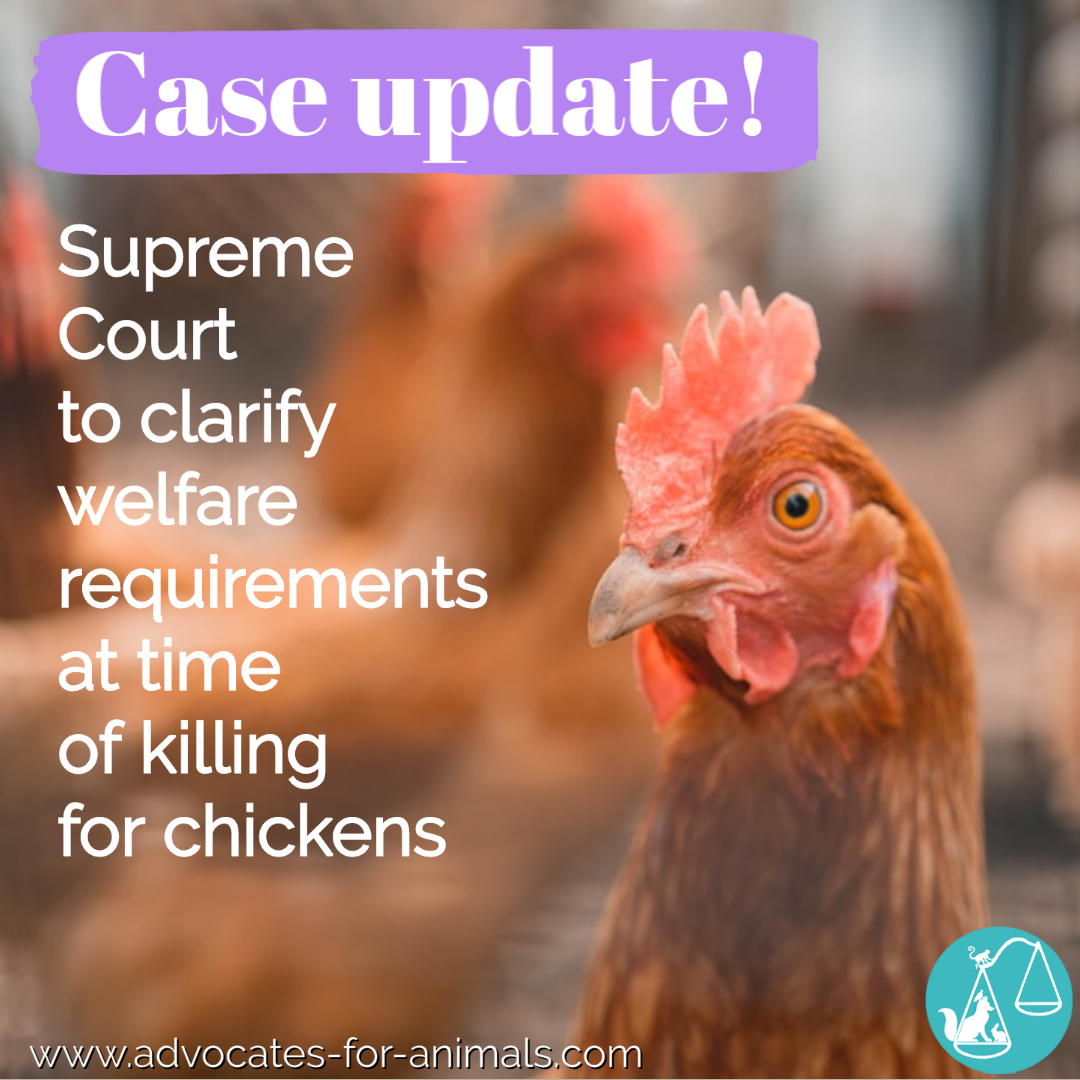 Advocates for Animals | Solicitors on Twitter: Advocates for Animals | Solicitors on Twitter:
