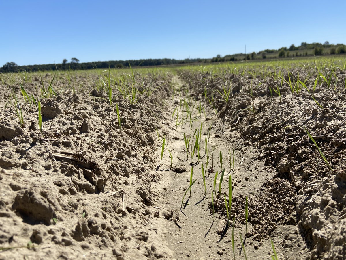 Delta Wildlife tweet media