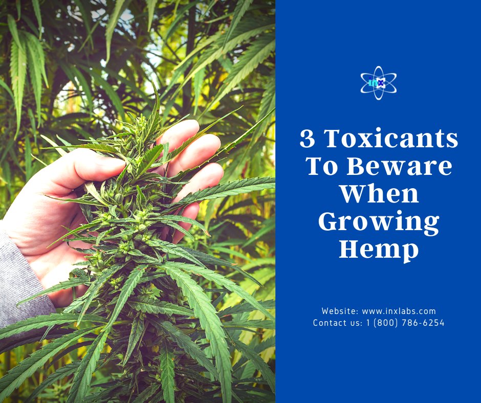 InxLaboratories's tweet photo. #Hemp farmers must be mindful of possible toxicants found in the air, soil, and water that may hinder the plant’s growing cycle.
Visit https://t.co/QJJi39zOu6 to read the full blog. Contact us at 1 (800) 786-6254 to speak with an expert now. https://t.co/wiUjNbfMCK