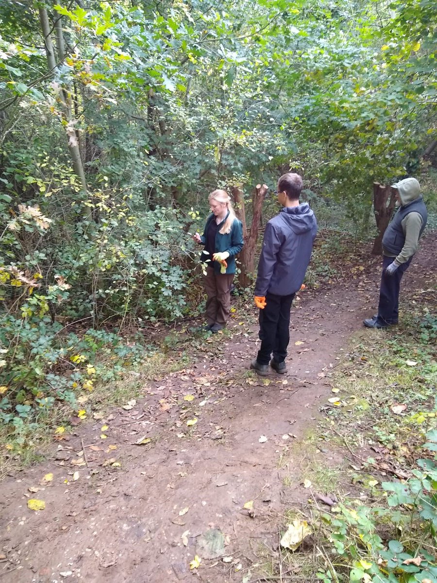 OurBackYard_CQ's tweet photo. Today our brilliant volunteers were at Llwyni Valley pulling litter out of the stream. 
We even managed to fit in a little tree ID practice.
Well done everyone! #flintshire #connahsquay #conservation @Keep_Wales_Tidy @FLVCFlintshire @FlintshireCC https://t.co/HIvsOb8DoK